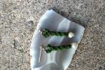 *Spring Collection*   Green spiral 